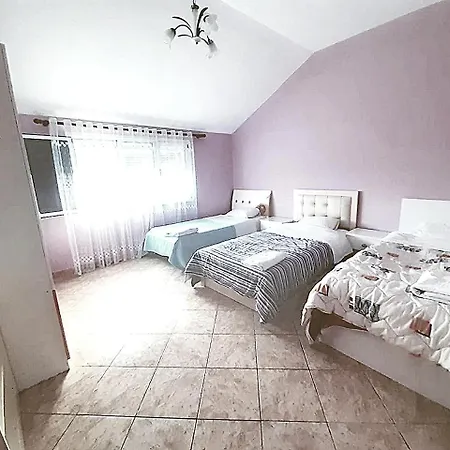 For Rent Alesia View Xhafzotaj