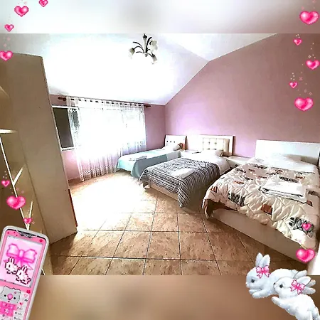 Apartment For Rent Alesia View Xhafzotaj